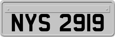 NYS2919