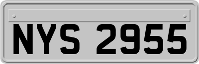 NYS2955