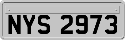 NYS2973