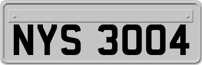 NYS3004