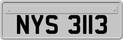 NYS3113