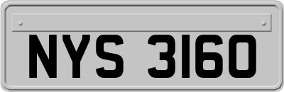 NYS3160