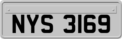NYS3169