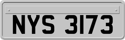 NYS3173
