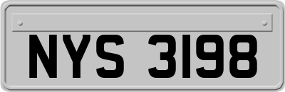 NYS3198