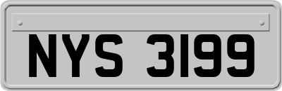 NYS3199