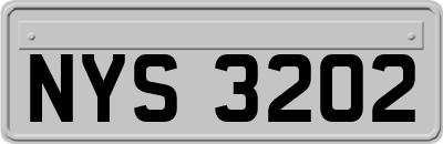 NYS3202