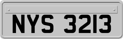 NYS3213