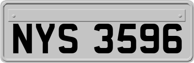 NYS3596