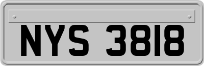 NYS3818