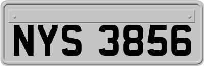 NYS3856