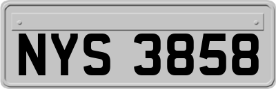 NYS3858