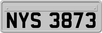 NYS3873