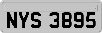 NYS3895