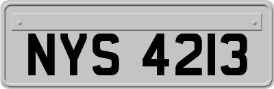 NYS4213