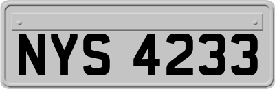 NYS4233
