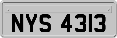 NYS4313