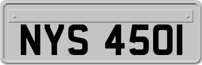 NYS4501