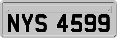 NYS4599