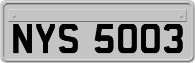 NYS5003
