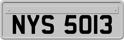 NYS5013