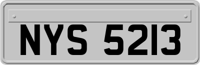 NYS5213