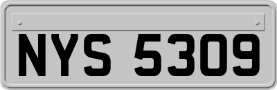 NYS5309