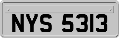 NYS5313