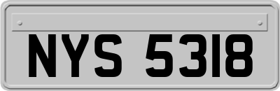 NYS5318