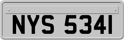 NYS5341