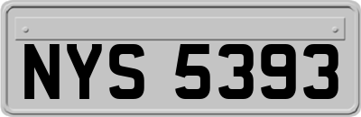 NYS5393