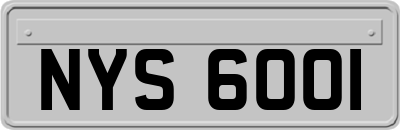 NYS6001