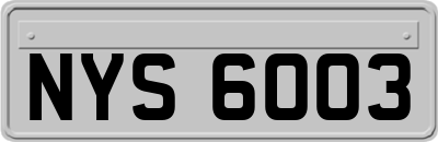 NYS6003