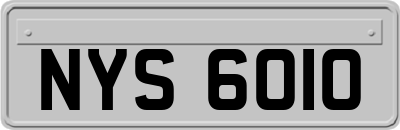 NYS6010