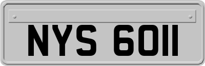 NYS6011