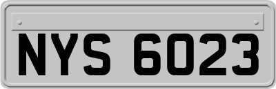 NYS6023