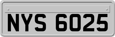 NYS6025