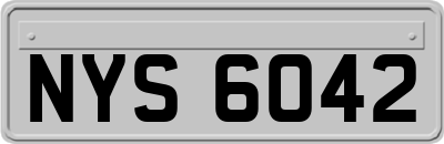 NYS6042
