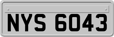 NYS6043