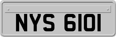 NYS6101