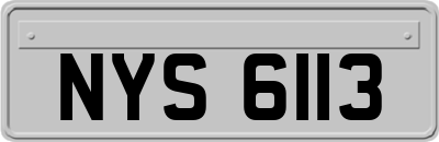 NYS6113