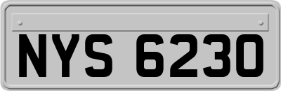 NYS6230
