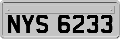 NYS6233
