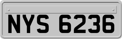 NYS6236