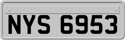 NYS6953
