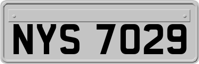 NYS7029