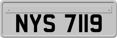NYS7119