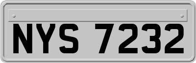 NYS7232