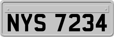 NYS7234