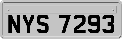 NYS7293